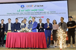Hợp tác, hỗ trợ số hóa các hoạt động xúc tiến thương mại sản phẩm OCOP