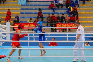 Thử thách mới cho võ thuật cổ truyền