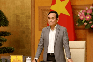Phó Thủ tướng Trần Lưu Quang hội kiến Chủ tịch Hạ viện Tây Ban Nha