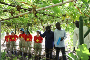Nữ quân nhân Việt Nam giúp dân làm nông nghiệp ở Abyei