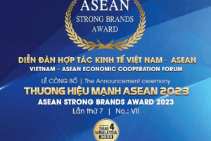 Diễn đàn hợp tác kinh tế Việt Nam - ASEAN: Cơ hội kết nối, hợp tác xúc tiến thương mại