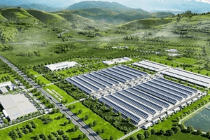 Khởi công Tổ hợp chăn nuôi và Chế biến thịt bò Vinabeef Tam Đảo