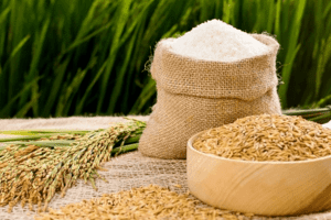 Giá lúa gạo hôm nay 9/3: Tín hiệu tốt từ Trung Quốc, Philippines