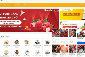 Đưa nông sản miền núi lên sàn thương mại điện tử: Kinh nghiệm từ trái vải thiều Bắc Giang