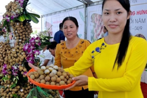 Hưng Yên: Nâng tầm sản phẩm OCOP