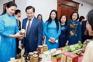Thúc đẩy hơn nữa hoạt động hỗ trợ phụ nữ tham gia phát triển kinh tế tập thể
