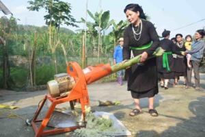 Hỗ trợ phụ nữ dân tộc thiểu số phát triển kinh tế