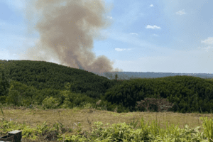 Đắk Nông: Rộ nạn lâm tặc "bẫy" cán bộ bảo vệ rừng