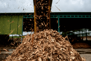 Hà Lan khảo sát dự án nhà máy chế biến gỗ 50 triệu USD tại Quảng Trị