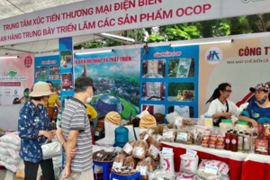 Điện Biên: Doanh nghiệp thuận lợi đưa sản phẩm nông sản lên sàn thương mại điện tử
