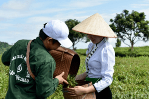 Xây dựng thương hiệu cho nông sản miền núi: Chú trọng đến câu chuyện phía sau