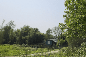 Nghệ An: Gần 15 năm 'đi không được, ở chẳng yên' vì dự án làm đường