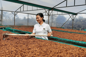 Hành trình của các nữ doanh nhân