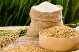 Giá lúa gạo hôm nay 8/4: Giá lúa đồng loạt tăng 100 – 300 đồng/kg