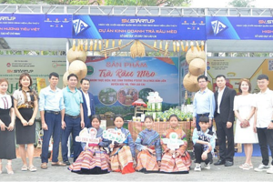 Lào Cai: Chắp cánh tương lai từ dự án khởi nghiệp “Kinh doanh trà râu mèo”