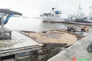 TP Hồ Chí Minh: Phát hiện, xử lý phương tiện chở cát không rõ nguồn gốc