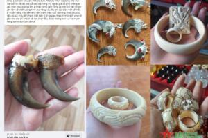 Lâm Đồng: Phạt 15 tháng tù đối tượng rao bán trang sức từ động vật hoang dã trên Facebook