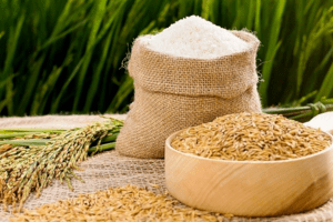 Giá lúa gạo hôm nay 19/4: Tăng 50 đồng/kg với gạo