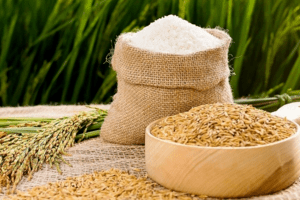 Giá lúa gạo hôm nay 25/4: Giá gạo tăng 100 đồng/kg