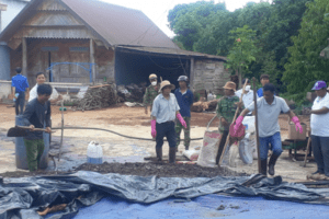 Sản xuất nông nghiệp bền vững: Khi cấp ủy vào cuộc