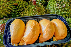 Giá sầu riêng giảm về mốc 50.000 - 60.000 đồng/kg