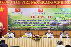 Cần có Nghị quyết mới về bảo vệ rừng và phát triển lâm nghiệp bền vững
