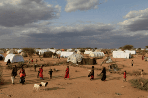 Nạn đói và suy dinh dưỡng ở châu Phi ngày càng trầm trọng