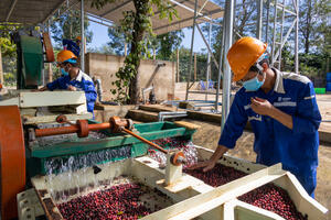 Cần hiện thực hóa xây dựng chuỗi giá trị cho nông sản