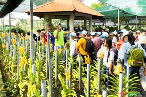 Phát huy thành quả xây dựng nông thôn mới