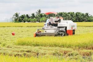 Đồng Nai: Đột phá phát triển nông nghiệp hữu cơ