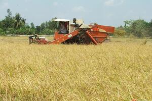 Ngành nông nghiệp nỗ lực giữ mục tiêu xuất khẩu