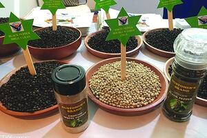 Trung Quốc tăng mua giúp giá hồ tiêu hồi phục