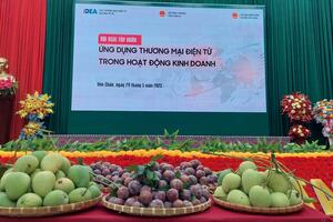 Thương mại điện tử liên kết vùng, giải bài toán tiêu thụ nông sản