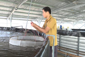 Triển vọng mô hình nuôi tôm thẻ chân trắng nước mặn ở Ea Sin