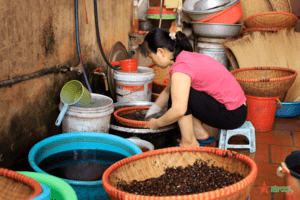 Làng xôi Phú Thượng “đỏ lửa” dịp Tết Đoan ngọ