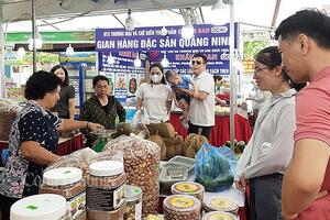 Kết nối tiêu thụ trái cây, nông sản các tỉnh, thành phố tại Hà Nội