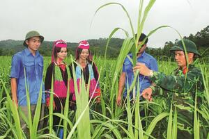 Chung tay đổi thay vùng biên cương Đông Bắc