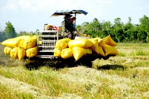 Bao giờ nông dân làm giàu từ nghề trồng lúa?