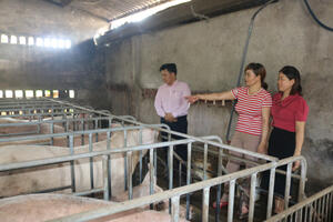 Phát huy vai trò "cầu nối" giúp dân thoát nghèo