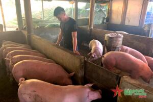 Giúp ngành chăn nuôi vượt khó