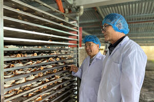 Tạo dựng thị trường bền vững cho sản phẩm OCOP Đắk Lắk