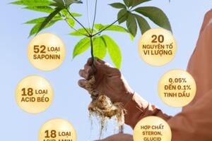 Nỗ lực bảo tồn dược liệu quý đang đứng trước nguy cơ cạn kiệt