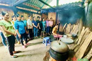 Hiệu quả từ Chương trình hỗ trợ rừng và trang trại