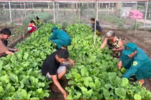 Ổn định đời sống dân cư vùng biên giới