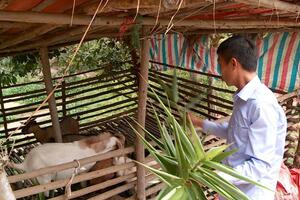 Thanh Long không còn là địa bàn nhức nhối về ma túy