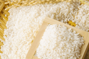 Giá lúa gạo hôm nay ngày 17/7/2023: Giá ổn định, thị trường sôi động phiên đầu tuần