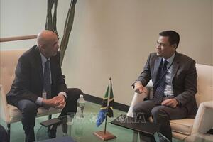 Đại sứ Đặng Hoàng Giang gặp Phó chủ tịch Quốc hội Cộng hòa thống nhất Tanzania