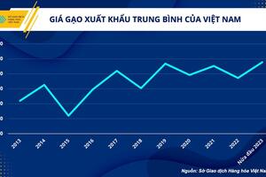 Giá gạo Việt tăng cao, ngành nông nghiệp tận dụng cơ hội xuất khẩu