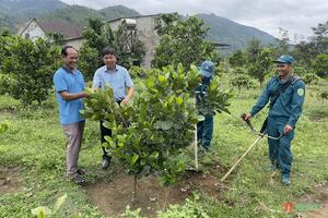 Hướng đi giúp huyện Lắk thoát nghèo