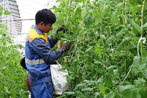 Nghị quyết số 106/NQ-CP đặt mục tiêu xây dựng ít nhất 300 mô hình hợp tác xã nông nghiệp hiệu quả